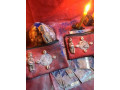 le-porte-feuille-magique-existe-vraiment-en-dollars-euro229-01-46-94-65-21-small-0