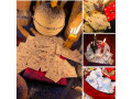 comment-avoir-le-vrai-bedou-magique229-01-46-94-65-21-comment-avoir-le-portefeuille-magique-small-0