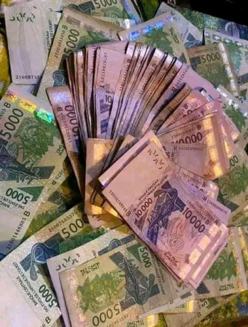 vrai-portefeuille-magique-en-france-sans-consequences-229-01-46-94-65-21-big-0